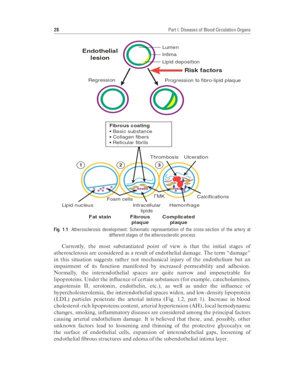 Internal Diseases: textbook. In 2 v. Vol. 1: на англ.языке. 4-е изд. перераб.