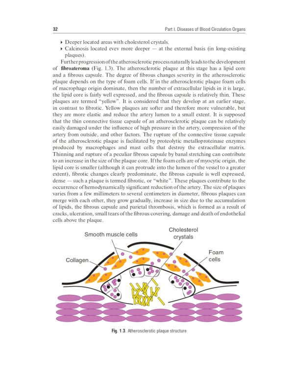 Internal Diseases: textbook. In 2 v. Vol. 1: на англ.языке. 4-е изд. перераб.