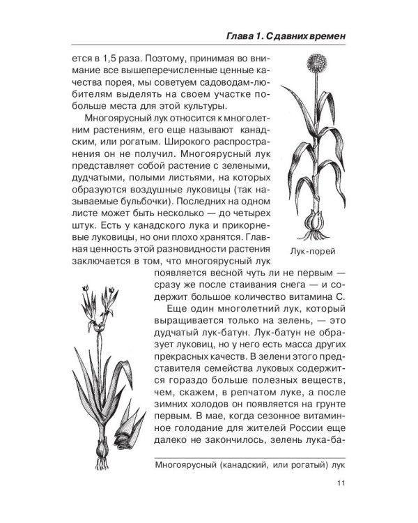 Лечением луком