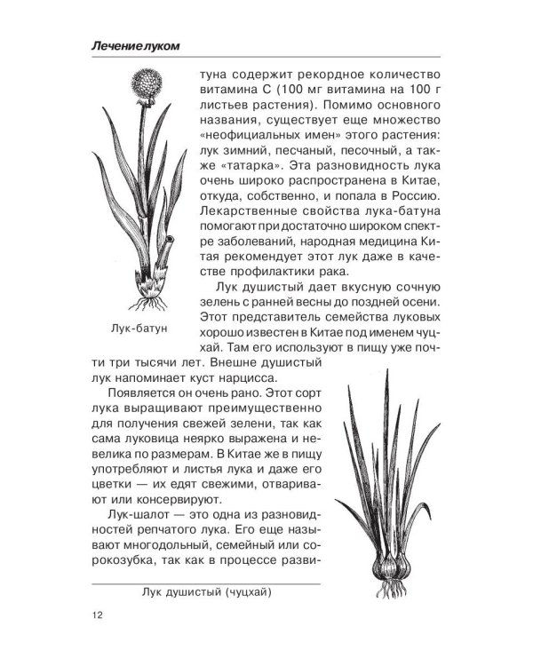 Лечением луком