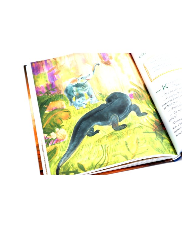 Дело о пропавшей учительнице; Мартын и Барсик. Два кота - красота! (комплект из 2-х книг)