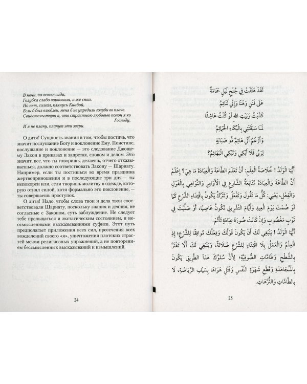 Письмо к ученику. Аййуха-л-валад. Уроки имама Аль-Газали