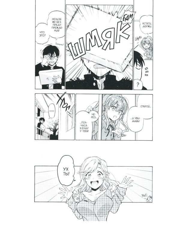 Торадора. Т. 9: манга