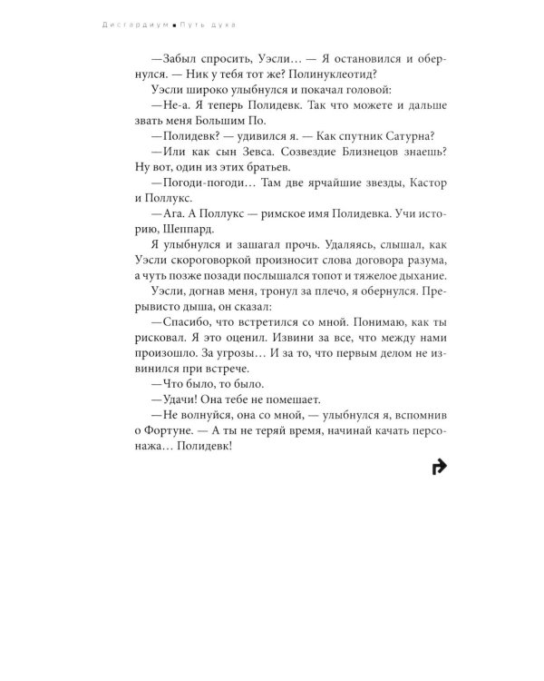 Дисгардиум: В 13 кн. Кн. 6: Путь духа