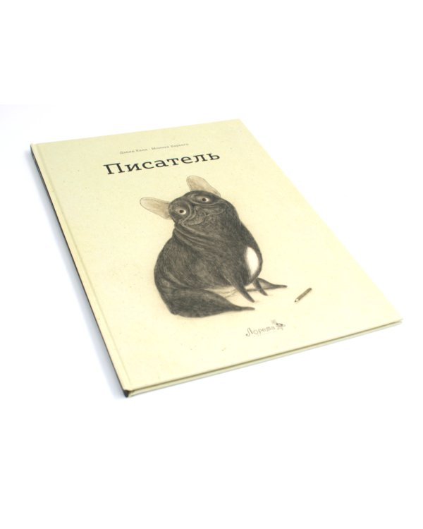 Писатель
