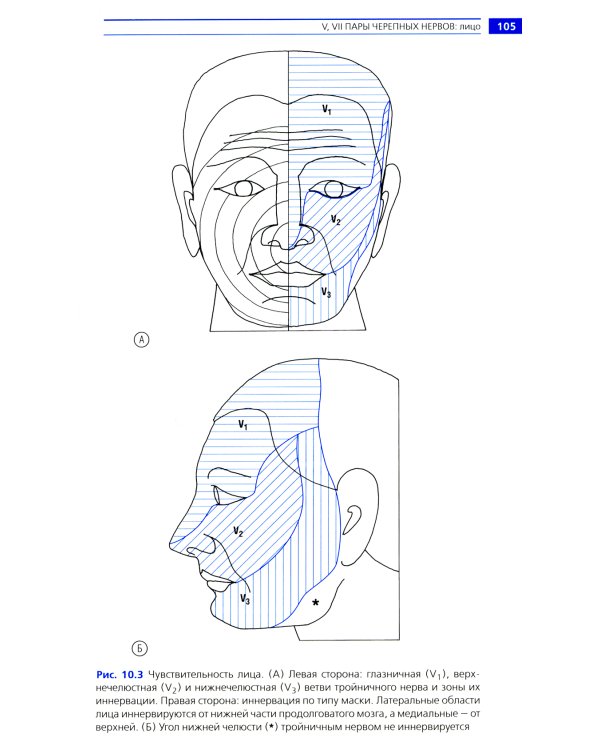 Неврологический осмотр: доступно и просто