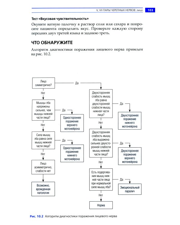Неврологический осмотр: доступно и просто