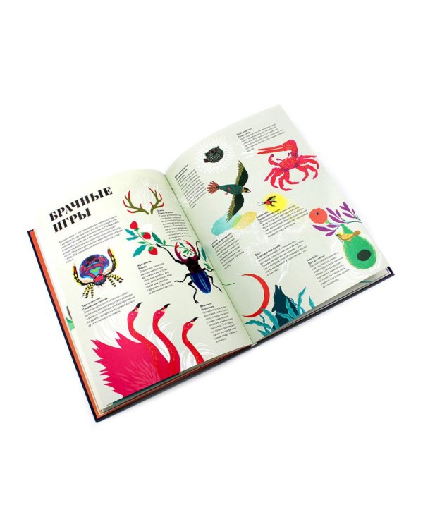 Чудесная книга жизни; Чудесная книга смерти (комплект из 2-х книг)