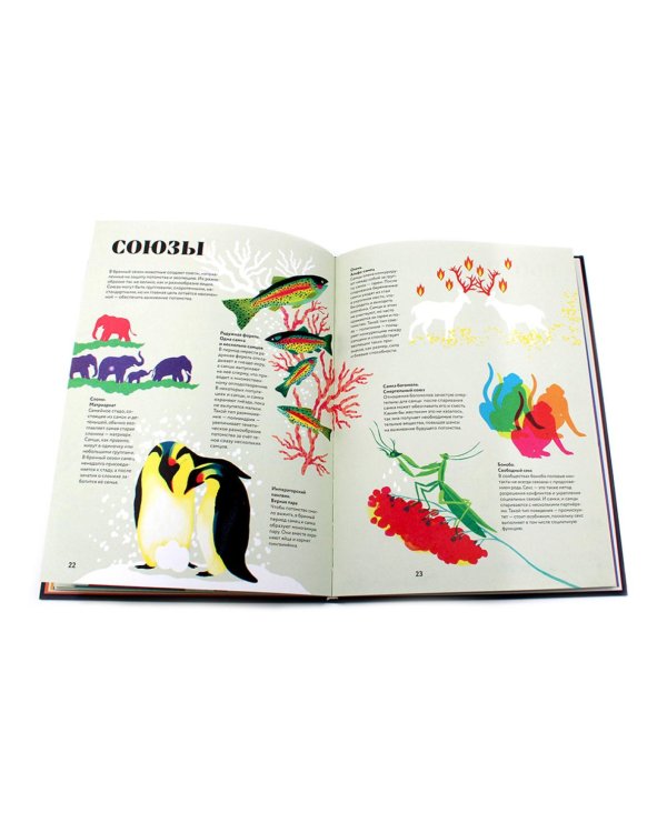 Чудесная книга жизни; Чудесная книга смерти (комплект из 2-х книг)