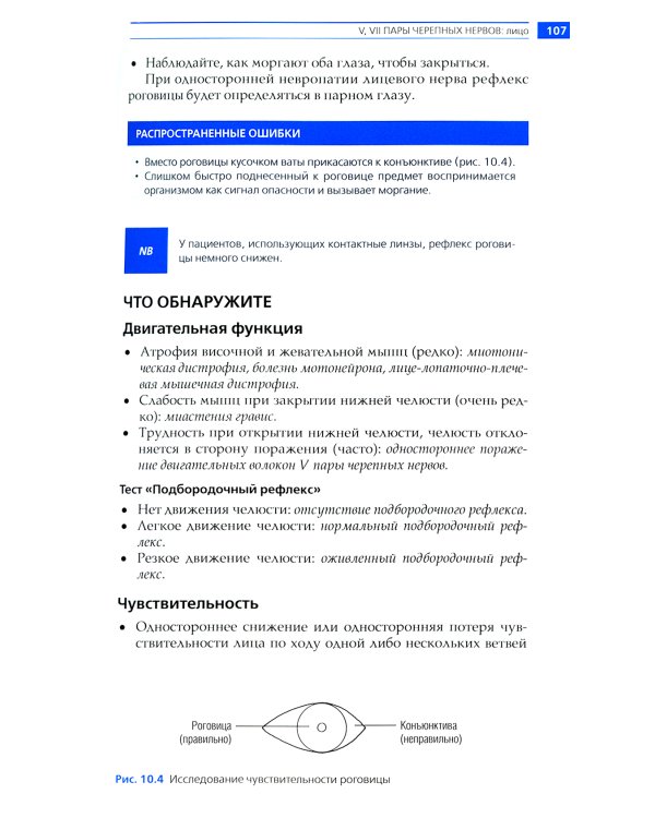 Неврологический осмотр: доступно и просто