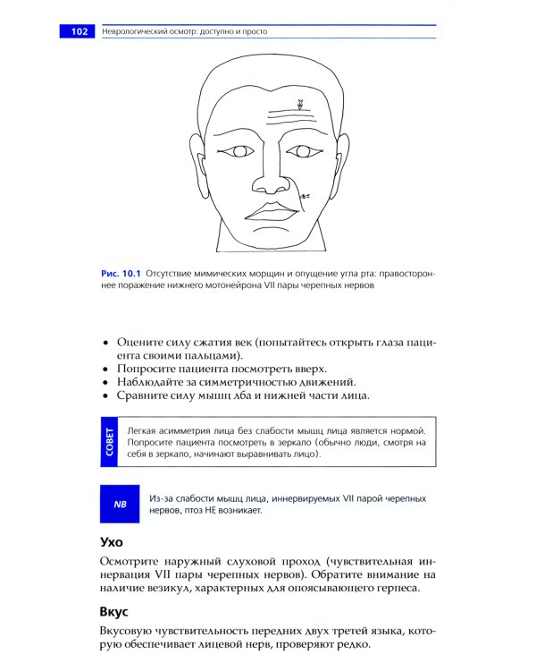 Неврологический осмотр: доступно и просто