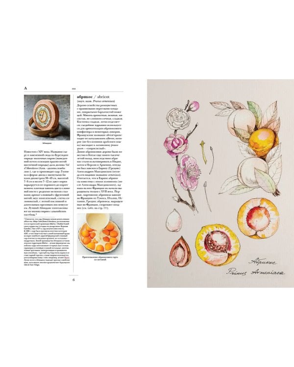 Гастрономическая энциклопедия Ларусс: В 15 т. Т. 1: Кн. 1-2 (комплект из 2-х книг)