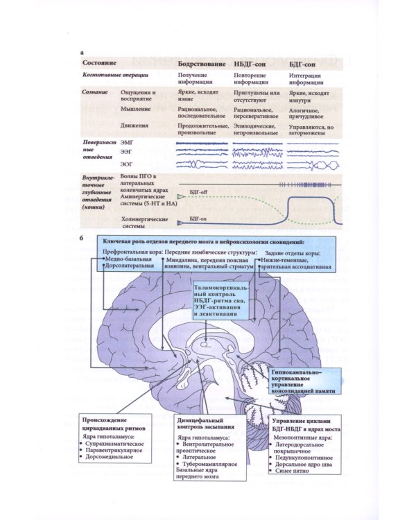 Исследование сновидений-2. Альманах Общества интегративного психоанализа