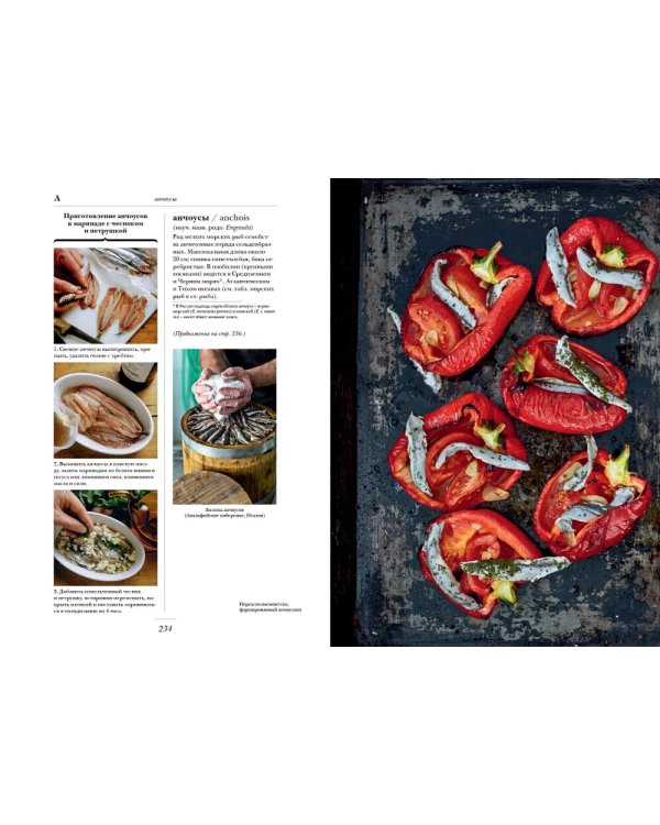 Гастрономическая энциклопедия Ларусс: В 15 т. Т. 1: Кн. 1-2 (комплект из 2-х книг)