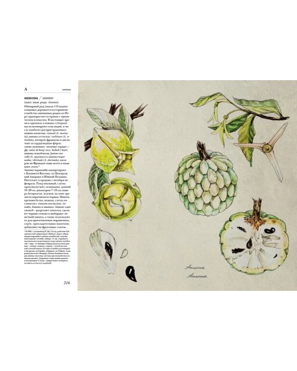 Гастрономическая энциклопедия Ларусс: В 15 т. Т. 1: Кн. 1-2 (комплект из 2-х книг)