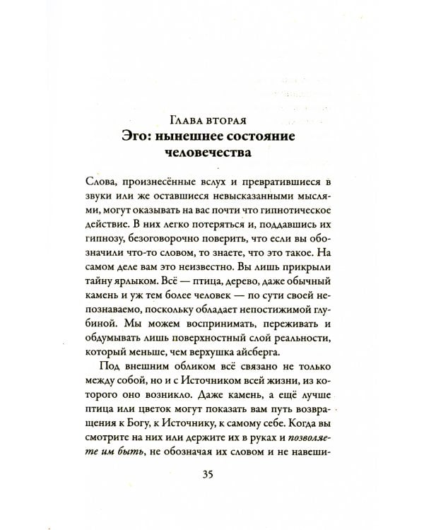 Новая земля. Пробуждение к своей жизненной цели
