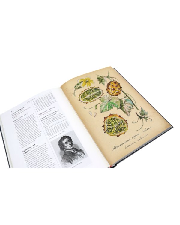 Гастрономическая энциклопедия Ларусс: В 15 т. Т. 1: Кн. 1-2 (комплект из 2-х книг)