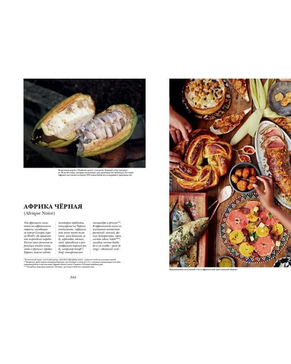 Гастрономическая энциклопедия Ларусс: В 15 т. Т. 1: Кн. 1-2 (комплект из 2-х книг)