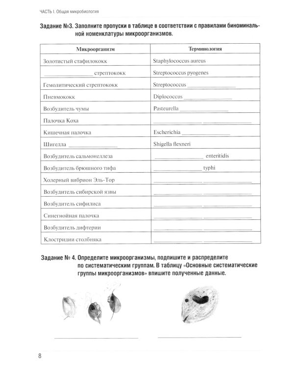 Основы микробиологии и иммунологии: рабочая тетрадь для внеаудиторной работы: Учебное пособие