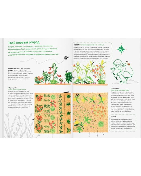 Сад круглый год. Что такое пермакультура