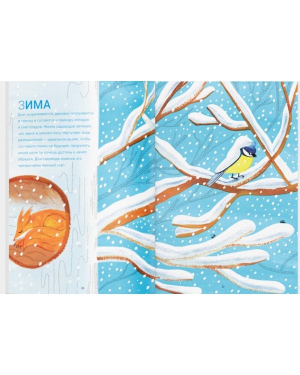 Сад круглый год. Что такое пермакультура