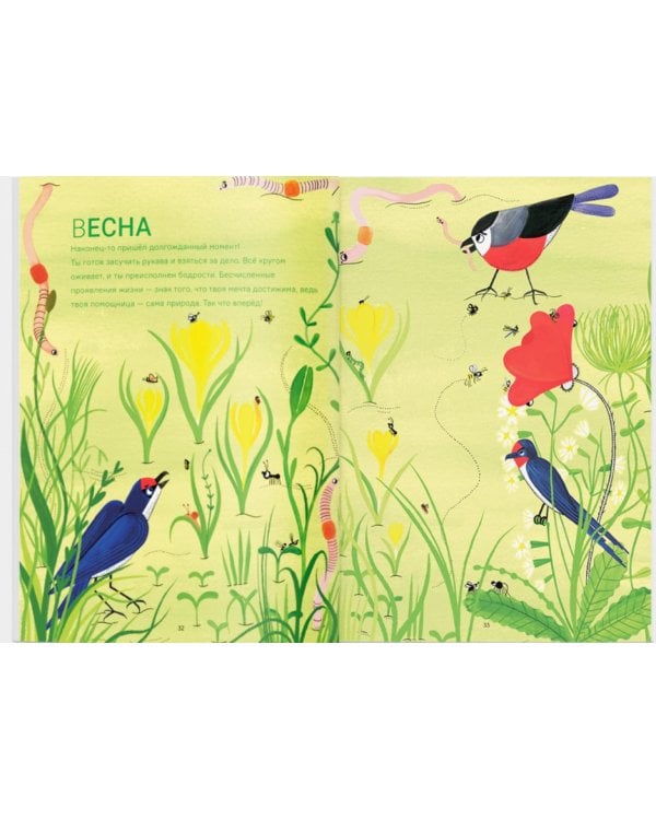 Сад круглый год. Что такое пермакультура