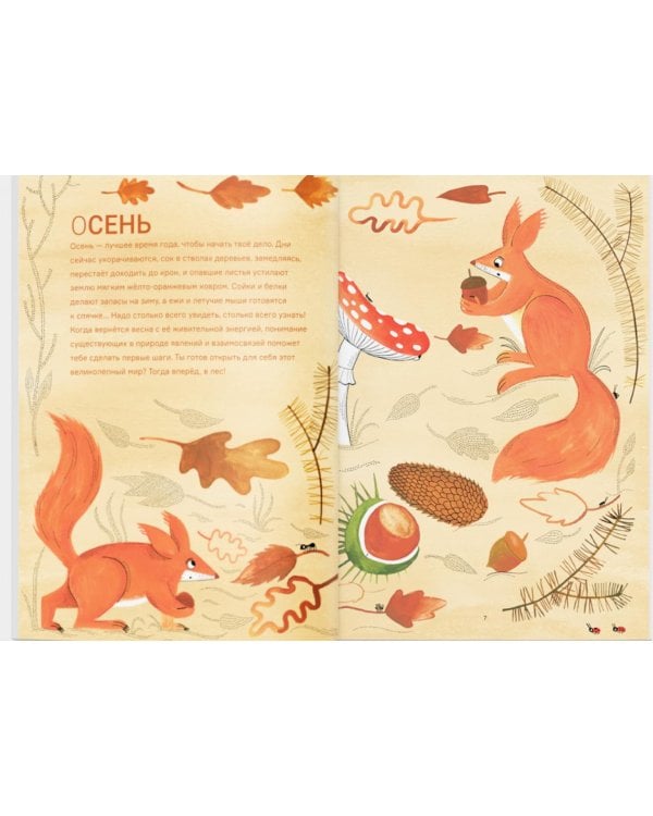 Сад круглый год. Что такое пермакультура