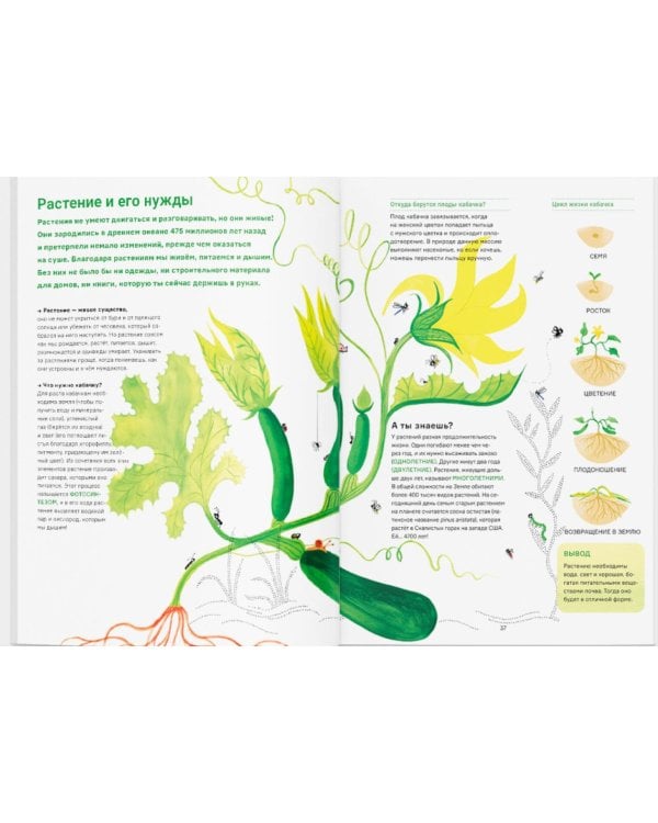 Сад круглый год. Что такое пермакультура