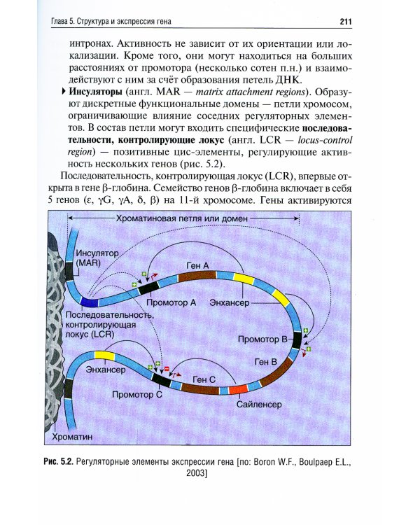 Биология: Учебник. В 8 кн. Кн. 2: Общая генетика