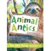 Animal Antics : the silly things animals do