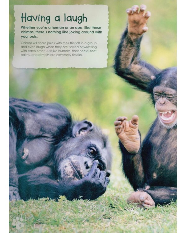 Animal Antics : the silly things animals do