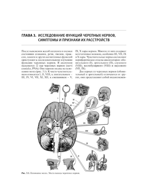 Нервные болезни: Учебник. 13-е изд