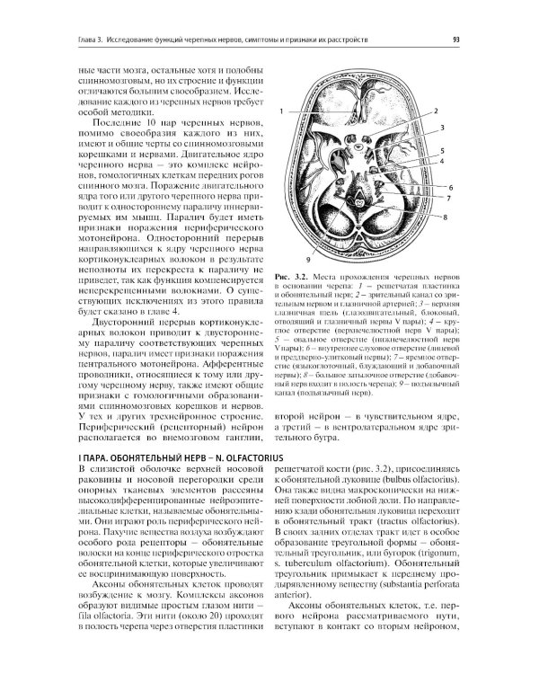Нервные болезни: Учебник. 13-е изд