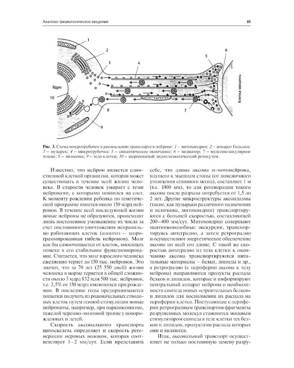 Нервные болезни: Учебник. 13-е изд