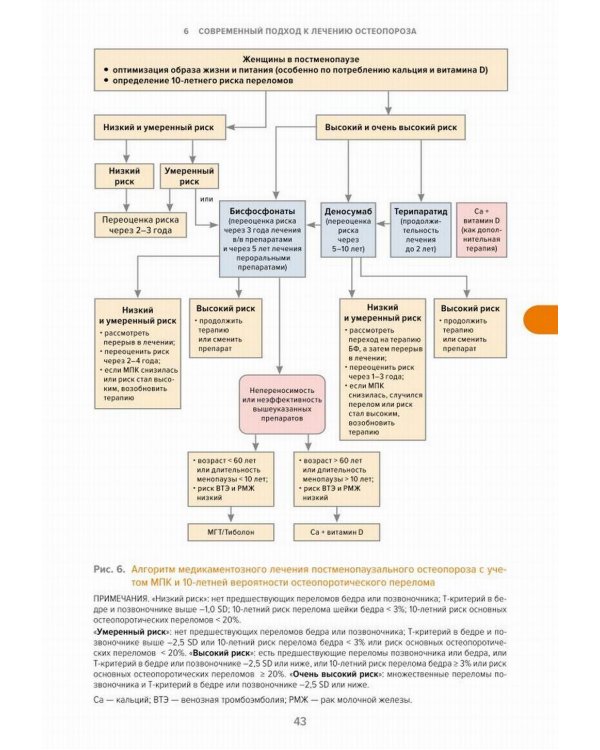 Остеопороз. Современное лечение