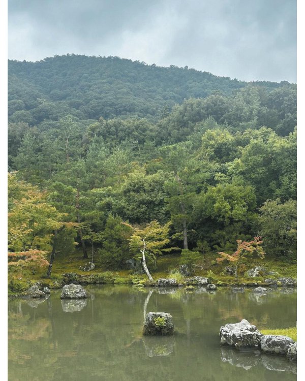 Kokoro. Японское искусство мягких перемен