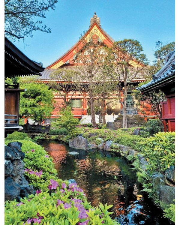 Kokoro. Японское искусство мягких перемен