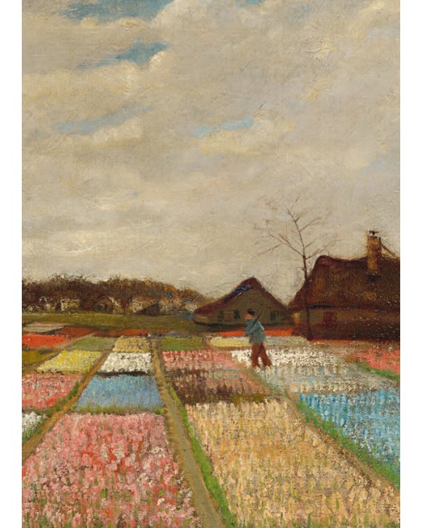 Письма. 1872-1886