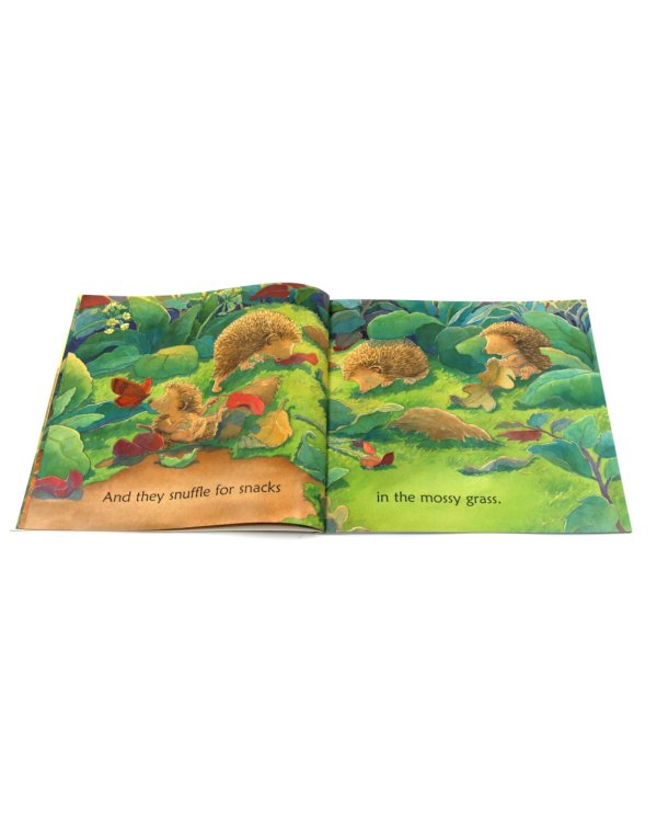 Down in the Woods at Sleepytime