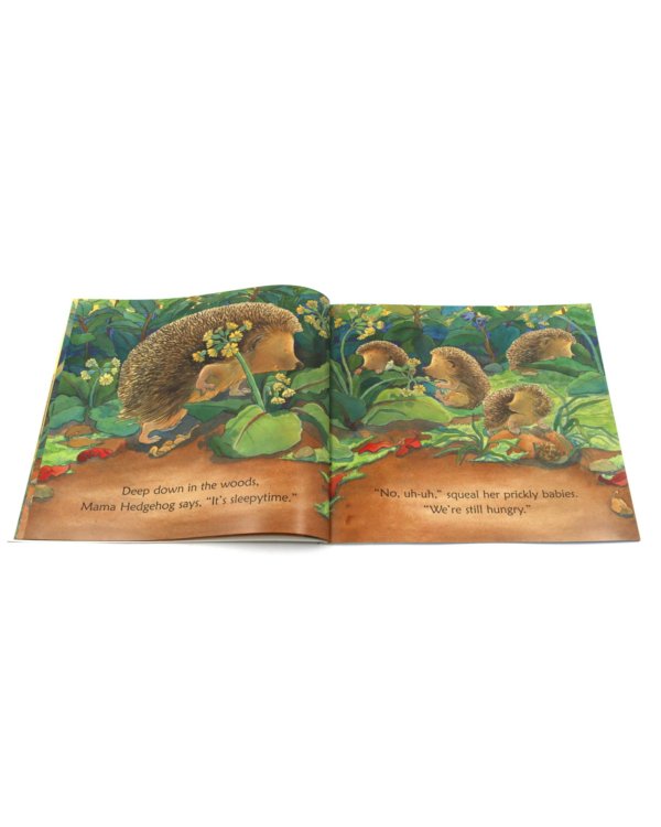 Down in the Woods at Sleepytime