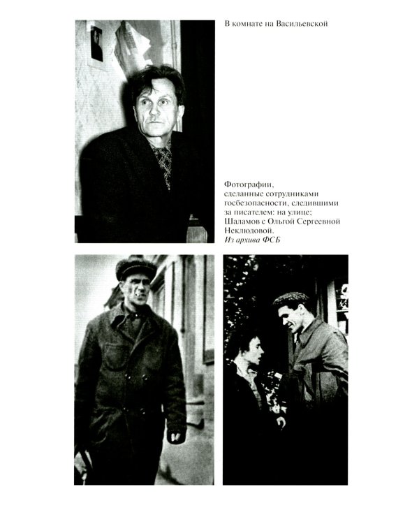 ЖЗЛ. Шаламов. 3-е изд