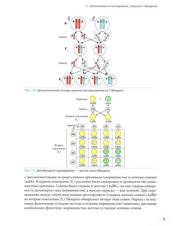 Генетика: Учебное пособие для школьников