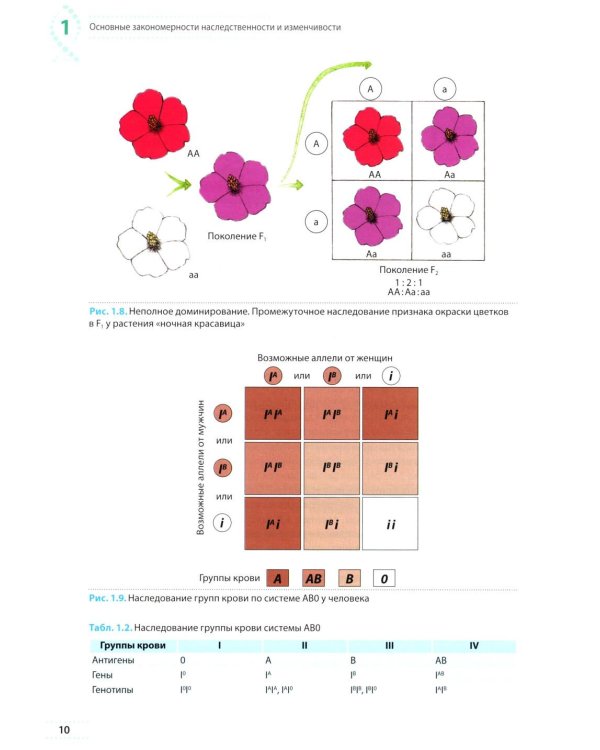Генетика: Учебное пособие для школьников