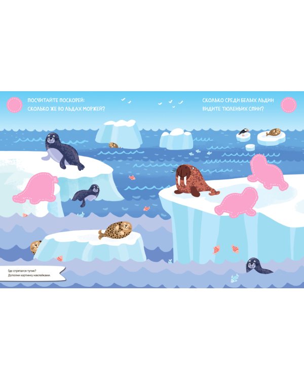 Найди, посчитай, наклей. На севере