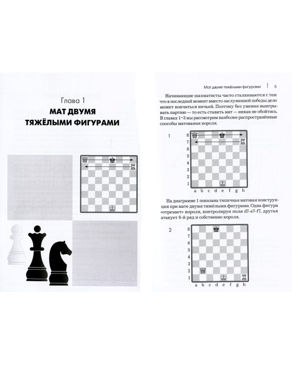 Курс шахматных окончаний для начинающих