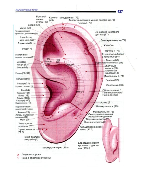 Атлас практической акупунктуры