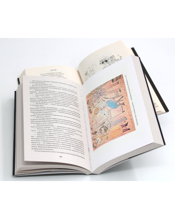 Мастер и Маргарита; Евгений Онегин (комплект из 2-х книг)