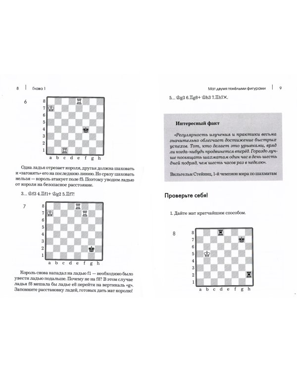 Курс шахматных окончаний для начинающих