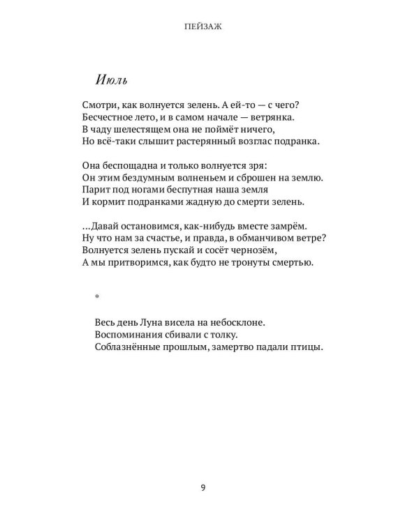 Роман о глупости: стихотворения