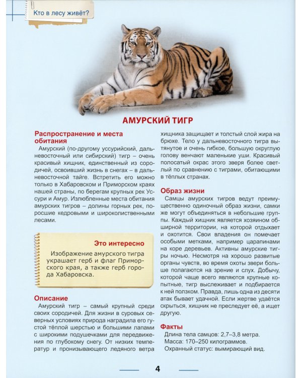 Кто в лесу живет?